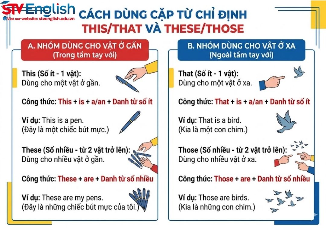 Ngữ pháp tiếng Anh cơ bản lớp 3: Tổng hợp kiến thức từ A-Z Ngữ pháp tiếng Anh cơ bản lớp 3: Tổng hợp kiến thức từ A-Z