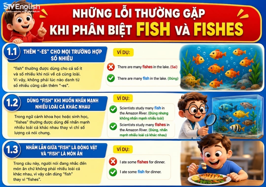 Những lỗi thường gặp khi phân biệt fish và fishes Những lỗi thường gặp khi phân biệt fish và fishes