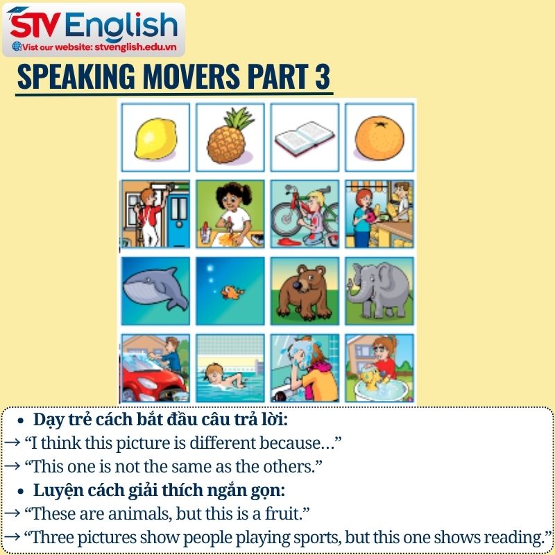 Speaking Movers Part 3 – Tìm bức tranh khác biệt (Odd One Out) Speaking Movers Part 3 – Tìm bức tranh khác biệt (Odd One Out)