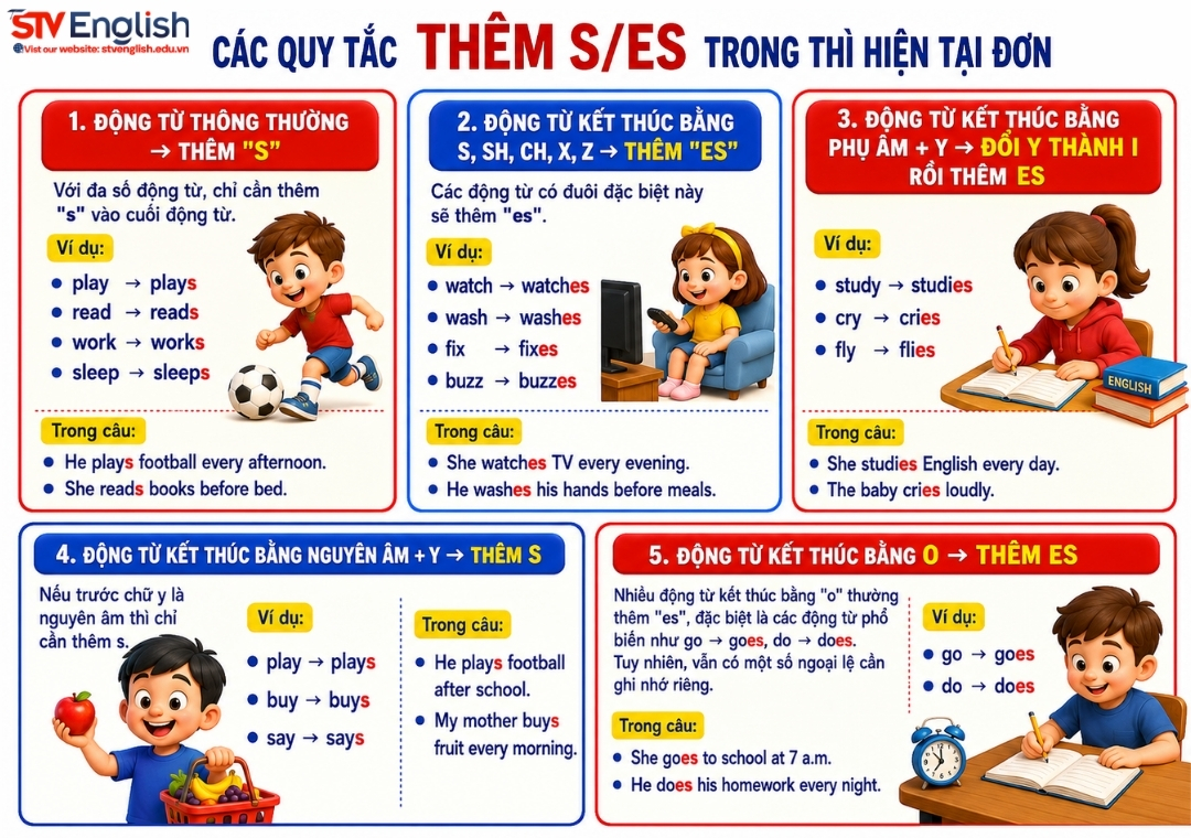 Quy tắc thêm s/es trong thì hiện tại đơn Quy tắc thêm s/es trong thì hiện tại đơn