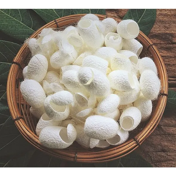 Kén tằm dưỡng da túi 10 cái