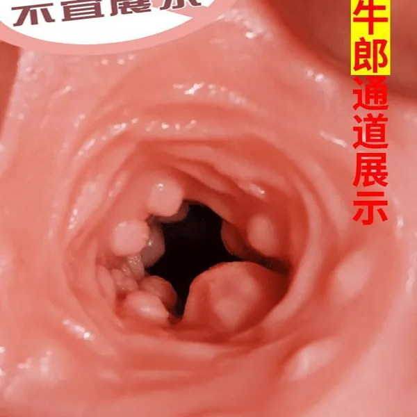 DƯƠNG VẬT GIẢ KÈM ÂM ĐẠO XAMILA