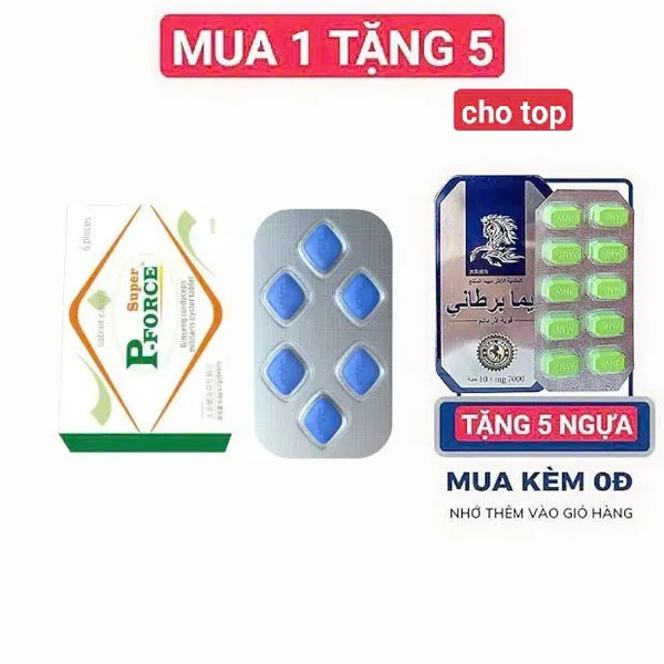KISCG DỤC Đà Nẵng PFORCE TOP