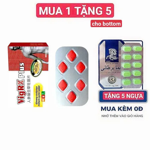 THUỐC KÍCH DỤC Quảng Nam VIGRX PLUS BOTTOM