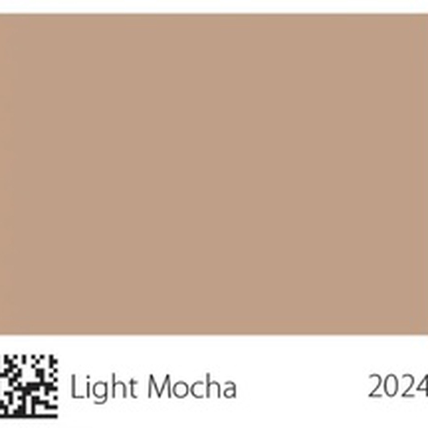 Pha màu Light Mocha - mã 2024 (S3010-Y50R)