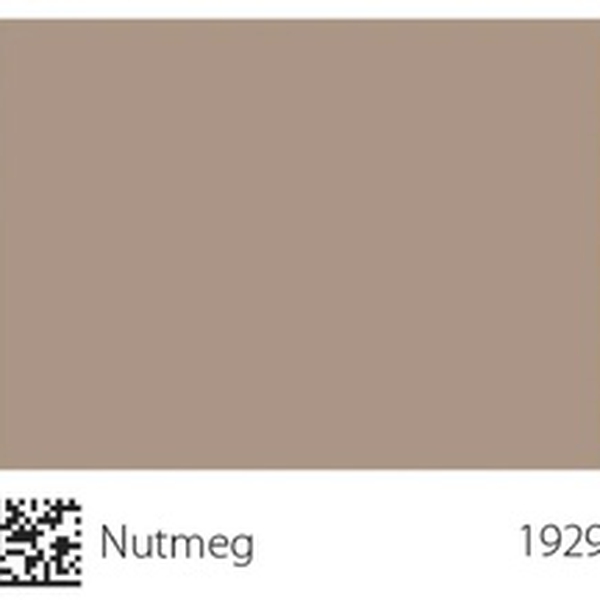 Pha màu Nutmeg - mã 1929 (4806-Y38R)