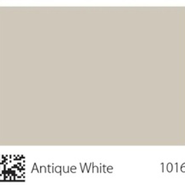 Pha màu Antique White - mã 1016 (S2005-Y20R)