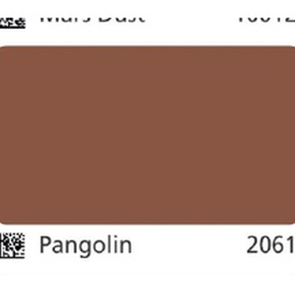 Pha màu Pangolin - mã 2061 (S5040-Y50R)