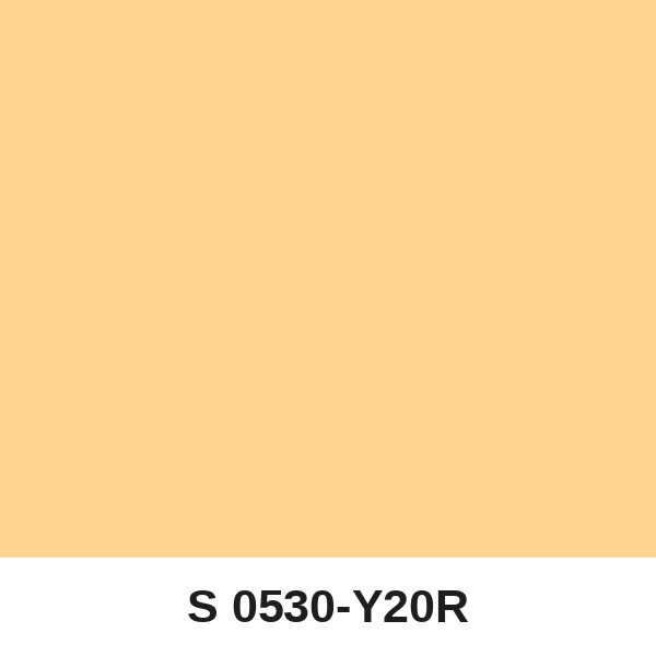 Màu mã S 0530-Y20R ( QMNT 960 )