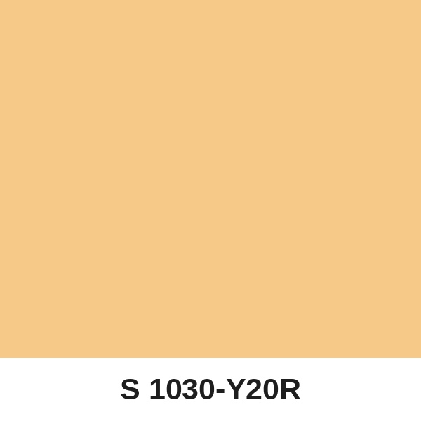 Màu mã S 1030-Y20R ( QMNT 960 )