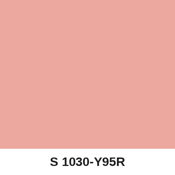Màu mã S 1030-Y95R ( QMNT 960 )