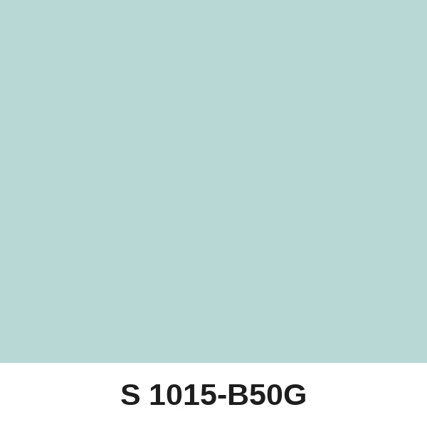 Màu mã S 1015-B50G ( QMNT 960 )