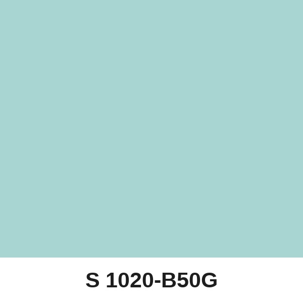 Màu mã S 1020-B50G ( QMNT 960 )