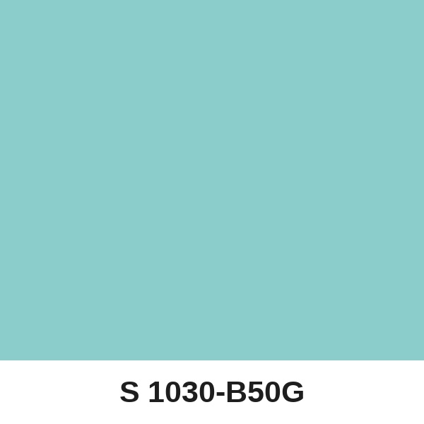 Màu mã S 1030-B50G ( QMNT 960 )