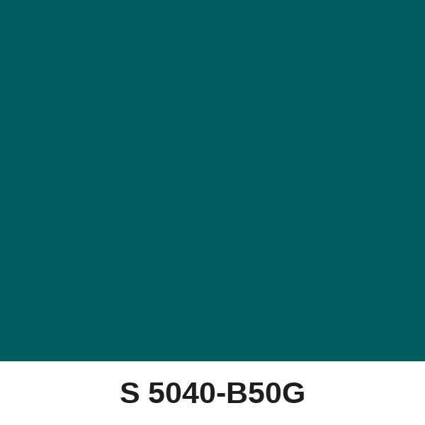 Màu mã S 5040-B50G ( QMNT 960 )