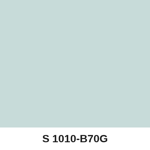 Màu mã S 1010-B70G ( QMNT 960 )