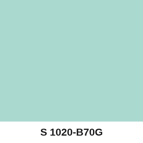 Màu mã S 1020-B70G ( QMNT 960 )