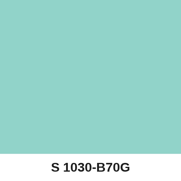 Màu mã S 1030-B70G ( QMNT 960 )