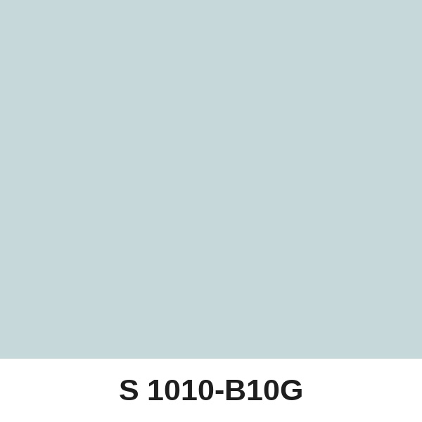 Màu mã S 1010-B10G ( QMNT 960 )