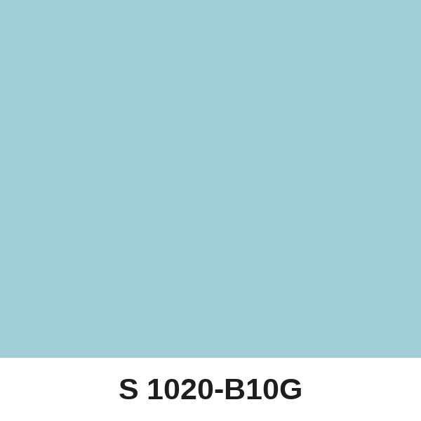 Màu mã S 1020-B10G ( QMNT 960 )