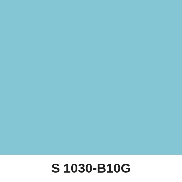 Màu mã S 1030-B10G ( QMNT 960 )