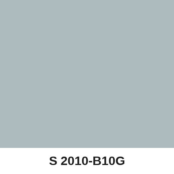 Màu mã S 2010-B10G ( QMNT 960 )