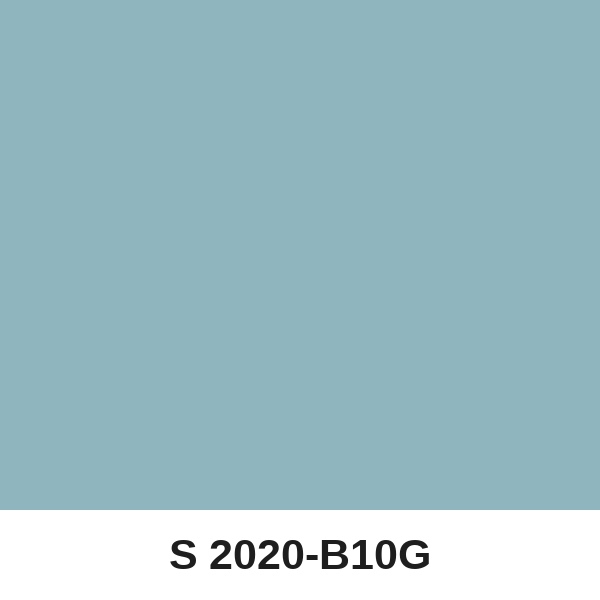 Màu mã S 2020-B10G ( QMNT 960 )
