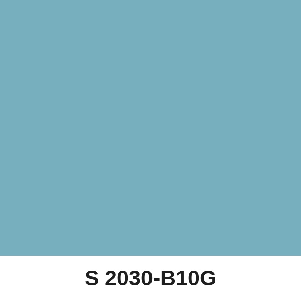 Màu mã S 2030-B10G ( QMNT 960 )