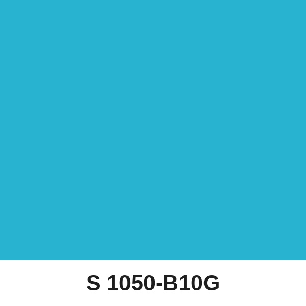 Màu mã S 1050-B10G ( QMNT 960 )