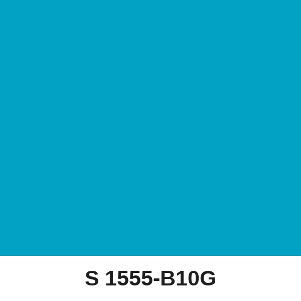 Màu mã S 1555-B10G ( QMNT 960 )