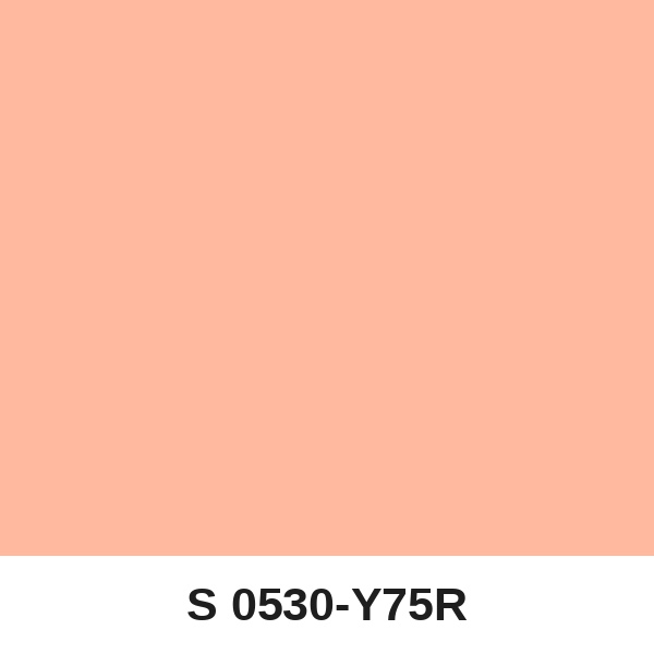 Màu mã S 0530-Y75R ( QMNT 960 )