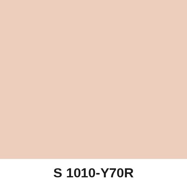 Màu mã S 1010-Y70R ( QMNT 960 )