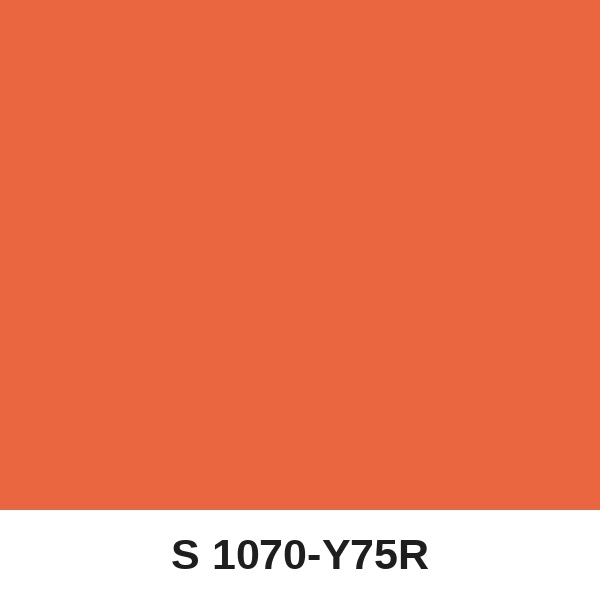 Màu mã S 1070-Y75R ( QMNT 960 )