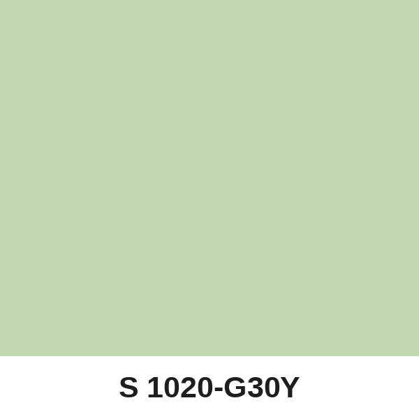 Màu mã S 1020-G30Y ( QMNT 960 )