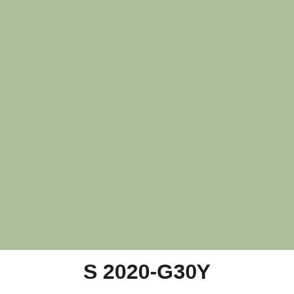 Màu mã S 2020-G30Y ( QMNT 960 )