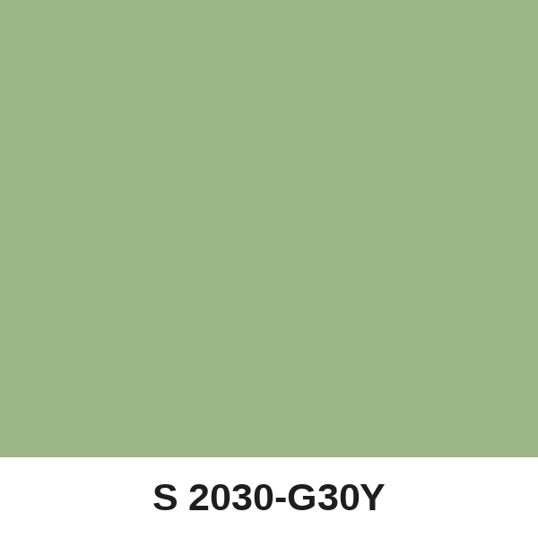 Màu mã S 2030-G30Y ( QMNT 960 )