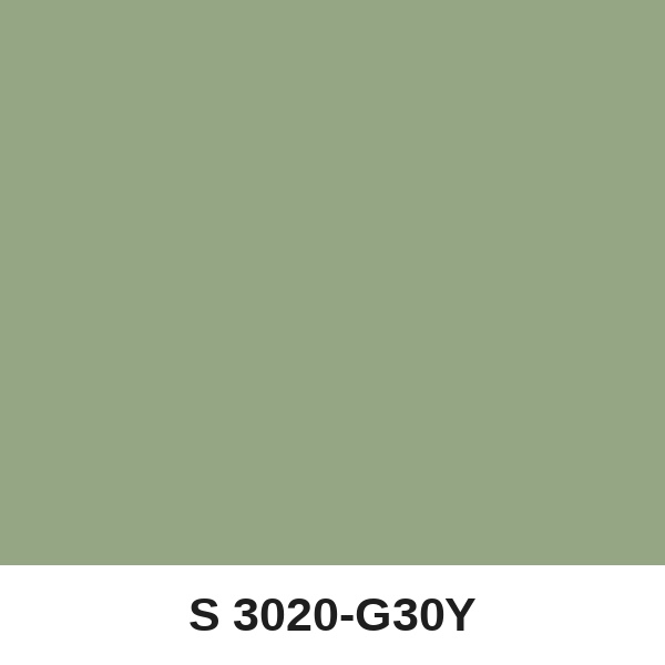 Màu mã S 3020-G30Y ( QMNT 960 )