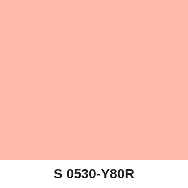 Màu mã S 0530-Y80R ( QMNT 960 )
