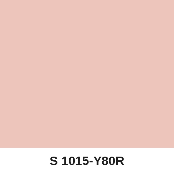 Màu mã S 1015-Y80R ( QMNT 960 )