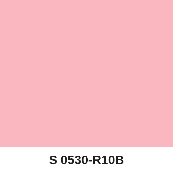 Màu mã S 0530-R10B ( QMNT 960 )
