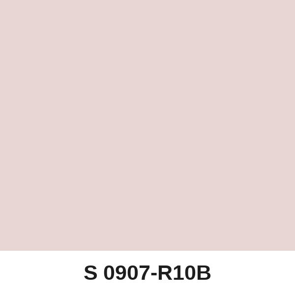 Màu mã S 0907-R10B ( QMNT 960 )
