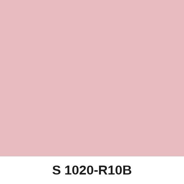 Màu mã S 1020-R10B ( QMNT 960 )