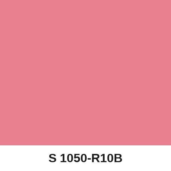 Màu mã S 1050-R10B ( QMNT 960 )