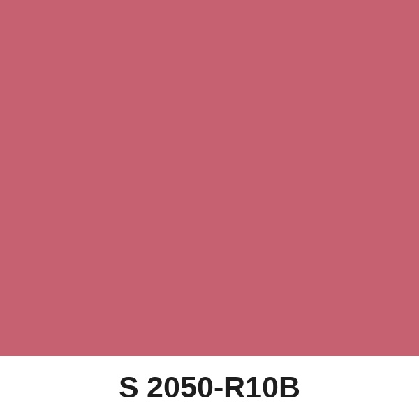 Màu mã S 2050-R10B ( QMNT 960 )