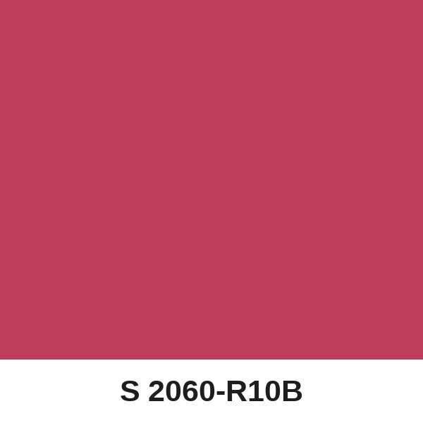 Màu mã S 2060-R10B ( QMNT 960 )