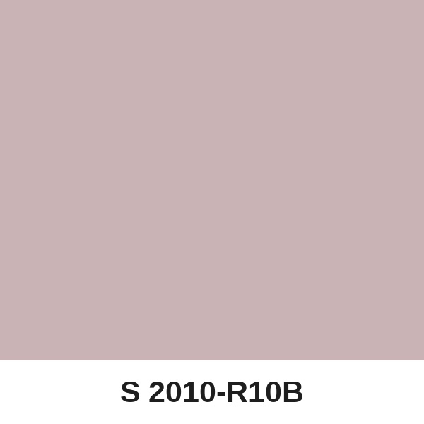 Màu mã S 2010-R10B ( QMNT 960 )