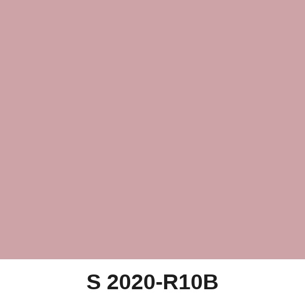 Màu mã S 2020-R10B ( QMNT 960 )