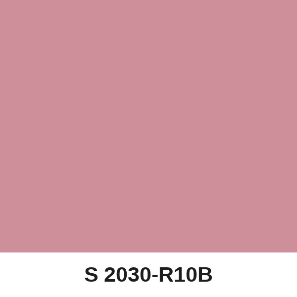 Màu mã S 2030-R10B ( QMNT 960 )