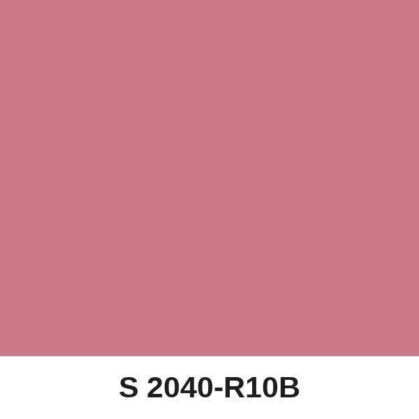 Màu mã S 2040-R10B ( QMNT 960 )