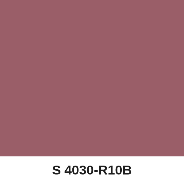 Màu mã S 4030-R10B ( QMNT 960 )